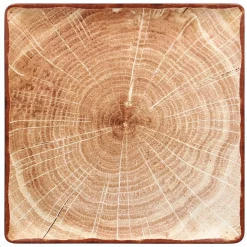 RAK Assiette plate carré brun porcelaine vitrifiée 30,5x30,5 cm Woodart Online