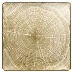 Assiette plate carré vert porcelaine vitrifiée 30,5x30,5 cm Woodart - RAK Discount