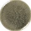 Assiette plate coupe rond steel porcelaine vitrifiée Ø 30,1 cm Krush - RAK Sale