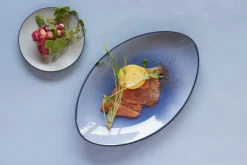 Assiette plate ovale bleu porcelaine culinaire 35x22 cm Equinoxe - REVOL Clearance