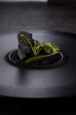 Assiette plate petite aile rond noir porcelaine vitrifiée Ø 32,8 cm Neo Fusion - RAK New