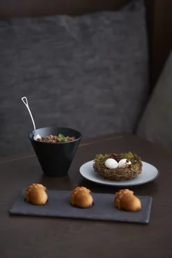 REVOL Assiette plate rectangulaire noir porcelaine culinaire 30x16 cm Basalt Hot