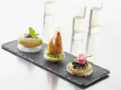 REVOL Assiette plate rectangulaire noir porcelaine culinaire 30x16 cm Basalt Hot