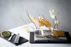 REVOL Assiette plate rectangulaire noir porcelaine culinaire 30x16 cm Basalt Hot