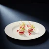 PILLIVUYT Assiette plate rond blanc porcelaine culinaire Ø 16 cm Louna Hot