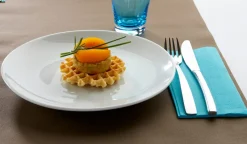 Assiette plate rond blanc porcelaine Ø 25 cm Hotel - Aucune Discount