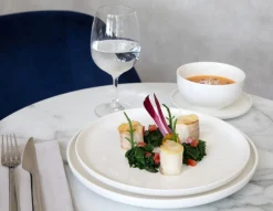 ACCOLADE Assiette plate rond blanc porcelaine renforcée Ø 25 cm Artic Outlet