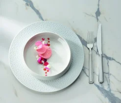 Assiette plate rond blanc porcelaine de limoges Ø 28,5 cm L' Perles De Rosee Blanches - DEGRENNE Discount