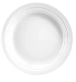 Assiette plate rond blanc porcelaine culinaire Ø 23 cm Regithermie - enova Discount