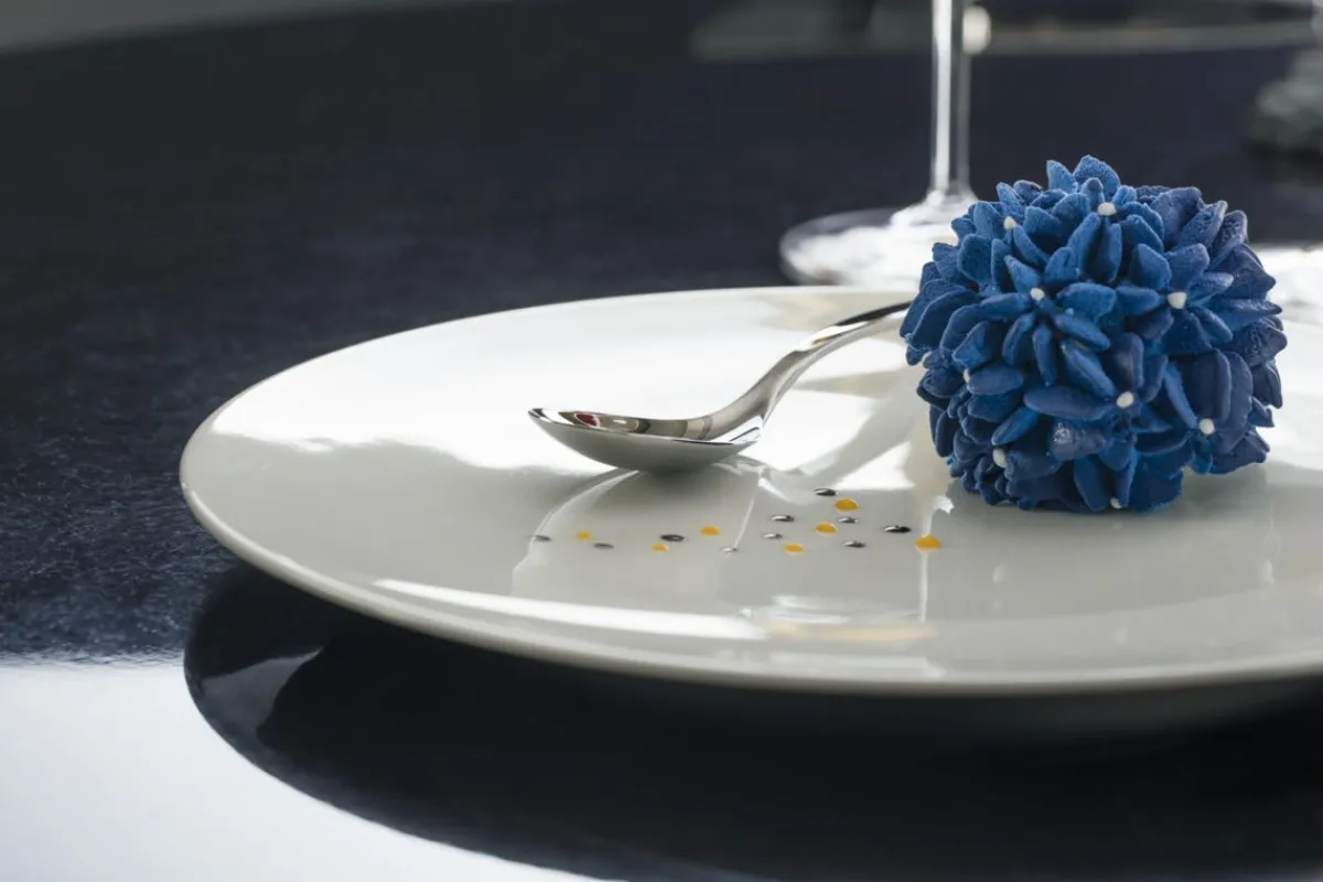 RAK Assiette plate rond blanc porcelaine vitrifiée Ø 26,5 cm Moon Online