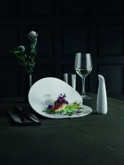 PILLIVUYT Assiette plate rond blanc porcelaine culinaire Ø 25 cm Canopee Online