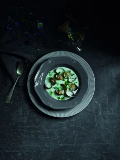 PILLIVUYT Assiette plate rond blanc porcelaine culinaire Ø 17 cm Ecletique Online