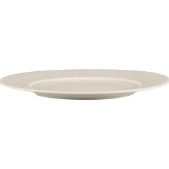 Assiette plate rond blanc porcelaine bone china Ø 21,9 cm Spectra - RAK Online