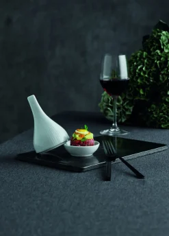 PILLIVUYT Assiette plate rond blanc porcelaine culinaire Ø 15,5 cm Canopee Best