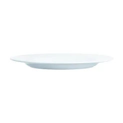 ARCOROC Assiette plate rond blanc verre opal Ø 24 cm Intensity New