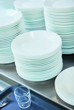 ARCOROC Assiette plate rond blanc verre opal Ø 23,5 cm Stairo