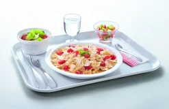 ARCOROC Assiette plate rond blanc verre opal Ø 23 cm Heat System New
