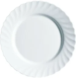 ARCOROC Assiette plate rond blanc verre opal Ø 19 cm Restaurant Filet Bleu Hot