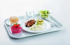 Assiette plate rond blanc verre opal Ø 23,5 cm Restaurant Filet Bleu - ARCOROC Online