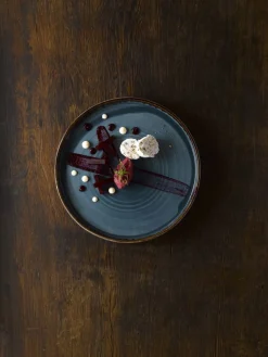 Assiette plate rond bleu porcelaine vitrifiée Ø 21 cm Harvest - DUDSON Hot