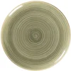 Assiette plate rond Emerald porcelaine vitrifiée Ø 24 cm stone Spot - RAK Hot