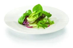Assiette plate rond ivoire porcelaine vitrifiée Ø 17 cm Banquet - RAK Best