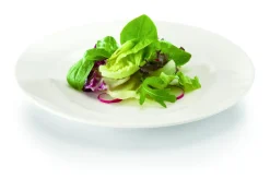 Assiette plate rond ivoire porcelaine vitrifiée Ø 19 cm Banquet - RAK Outlet