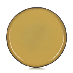 REVOL Assiette plate rond jaune porcelaine culinaire Ø 26 cm  Caractère Best