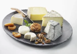 REVOL Assiette plate rond noir porcelaine culinaire Ø 32 cm Basalt Discount