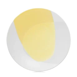 Assiette plate rond Safran porcelaine culinaire Ø 28 cm Confluence - REVOL New
