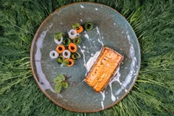 Assiette plate rond vert grès émaillé Ø 20 cm Sky - PRO.MUNDI Clearance