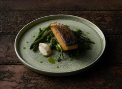 Assiette plate rond vert porcelaine vitrifiée Ø 26 cm Finca Flint - DUDSON Discount