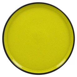 Assiette plate rond vert porcelaine vitrifiée Ø 22,7 cm Fire - RAK Online