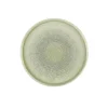 DUDSON Assiette plate rond vert porcelaine vitrifiée Ø 26 cm Harvest Grain Sale