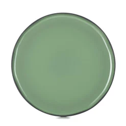 Assiette plate rond vert porcelaine culinaire Ø 30 cm Caractère - REVOL Sale