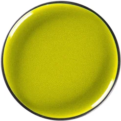 Assiette plate rond vert porcelaine vitrifiée Ø 15,7 cm Fire - RAK New