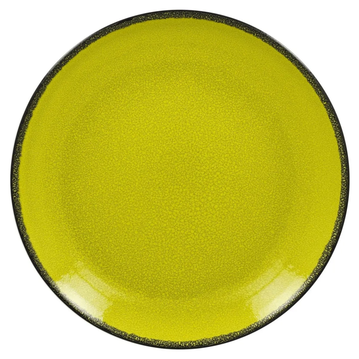 RAK Assiette plate rond vert porcelaine vitrifiée Ø 24 cm Fire Discount