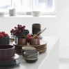 SERAX Assiette rond brun acacia Ø 33 cm Dune Sale