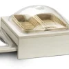 PINTINOX Bac GN 1/2 pour set réfrigéré inox 40 cm Compact Outlet
