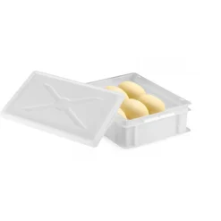 GILAC Bac à pâtons Sans couvercle blanc plastique 30x40x10 cm 9 L fond plein parois pleines Discount