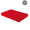 Bac à pâtons Sans couvercle rouge plastique 60x40x8 cm 14 L fond plein parois pleines - GILAC Sale