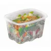 ALPHAFORM Barquette avec couvercle rectangulaire transparent 17,3x15,9x5,7 cm 105 cl Barquettes Micro Onde (50 pièces) Online