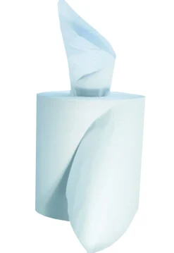 Aucune Bobine à dévidage central blanc ouate de cellulose 28x20 cm (6 pièces) Clearance