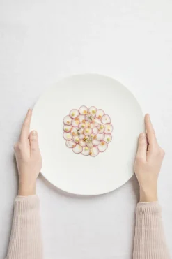 Bol blanc porcelaine 25 cl 13 cm Shell - COOKPLAY Sale