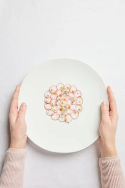 Bol blanc porcelaine 25 cl 13 cm Shell - COOKPLAY Sale