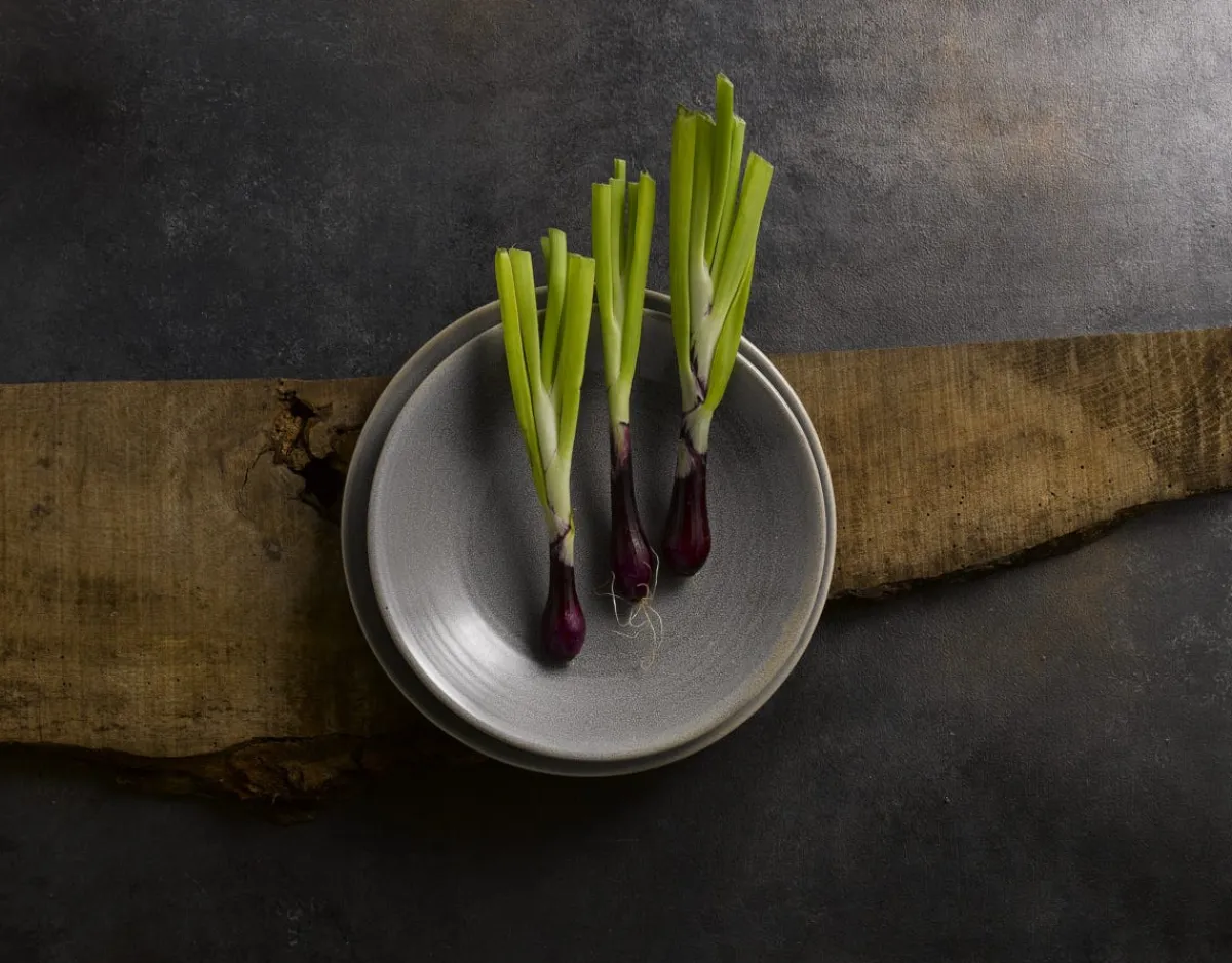 Bol rond gris porcelaine Ø 10,5 cm Evo Granite - DUDSON New
