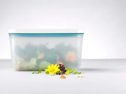 ZWILLING Boîte sous-vide L Avec couvercle transparent plastique 21,4x14,4x12,8 cm 2,3 L Fresh & Save Sale