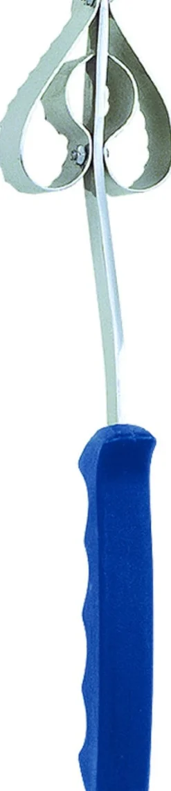 écailleur à poisson 16 cm inox plastique crantée - DEGLON Discount
