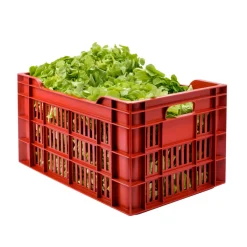 Caisse ajourée Sans couvercle bordeaux plastique 55x36x29 cm 45 L fond ajouré parois ajourées - GILAC Outlet