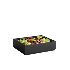 Caisse GN1/2 bois noir 32,5x26,5x8,5 cm Valo - APS Sale
